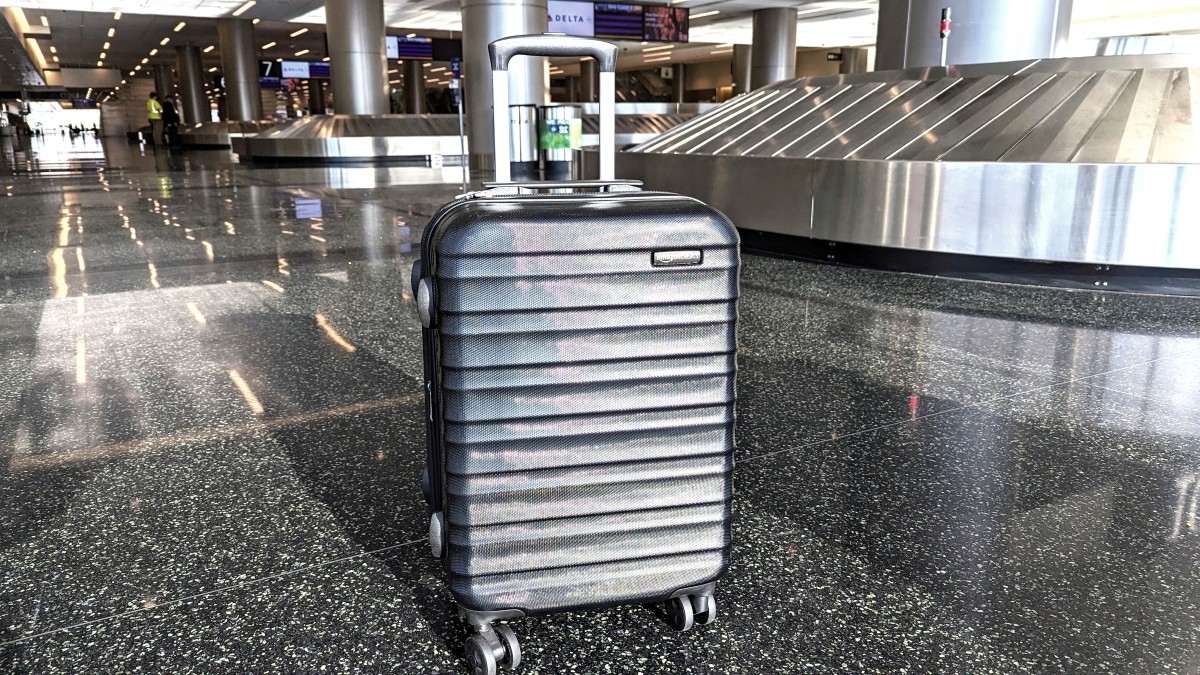 Amazon Basics Luggage